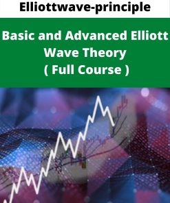 Elliottwave-principle – Basic and Advanced Elliott Wave Theory ( Full Course )